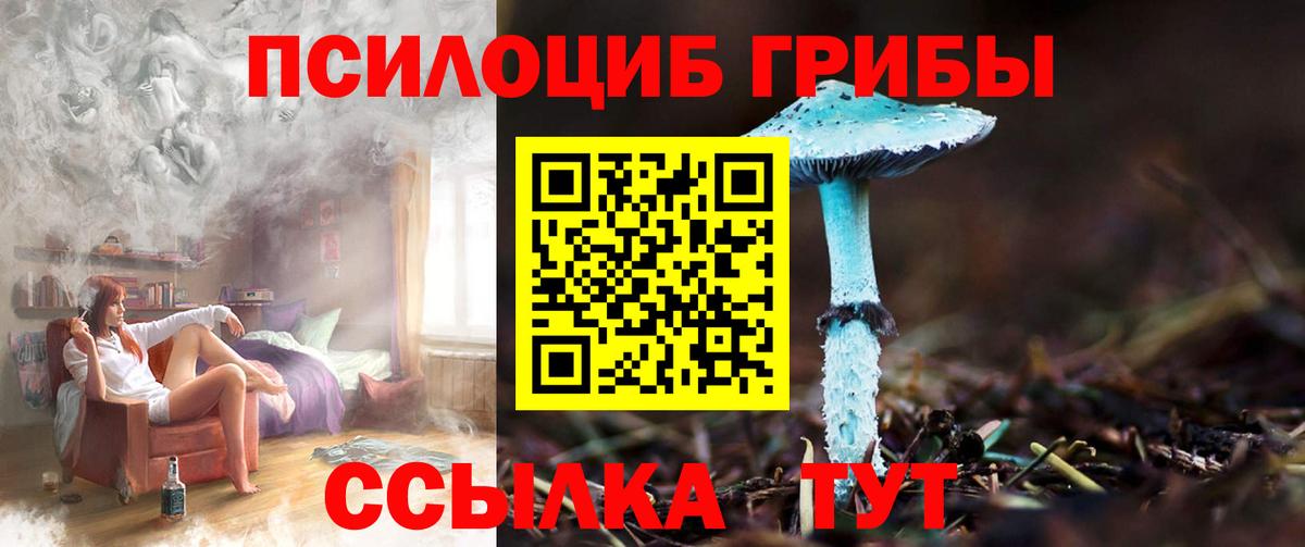 Кострома  даркнет сайт  Вход с VPN  Галлюциногенные грибы ЛСД  Галлюциногенные грибы Psilocybe 